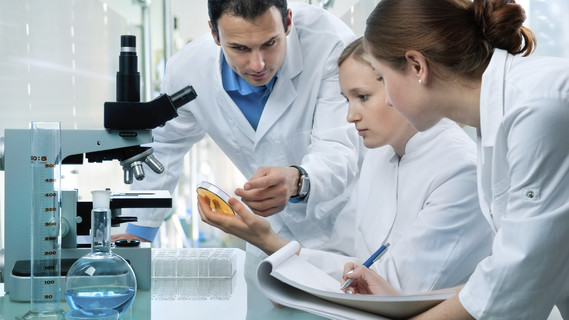 Wissenschaftlerinnen und Wissenschaftler mit einer Petrischale vor einem Mikroskop