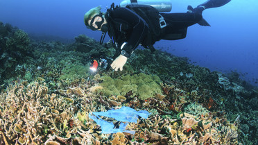 SCUBA diver and plastic bag on a coral reef