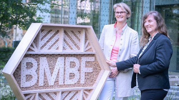 Im BMBF am Standort Berlin wurden Bienenhotels aufgestellt.